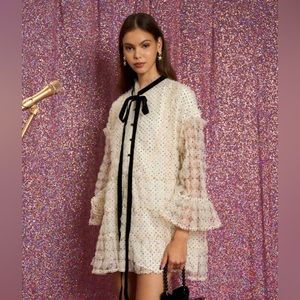 Medallion Rose Tulle Mini Dress - Sister Jane